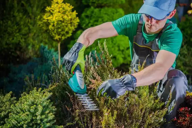 landscaping services Saranac Lake